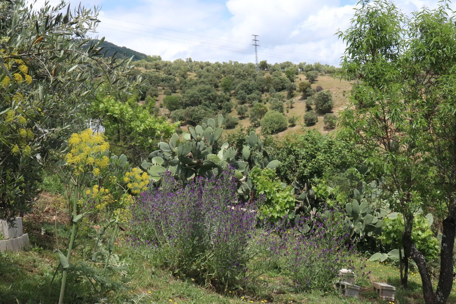 Chalet pareado en carretera Cc-431 s/n - Foto 38