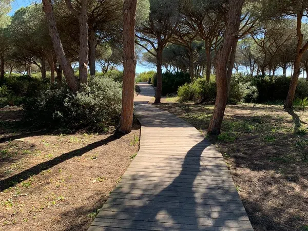 Piso en Avenida de Babor, 15, Sancti Petri, Sancti Petri - Foto 7