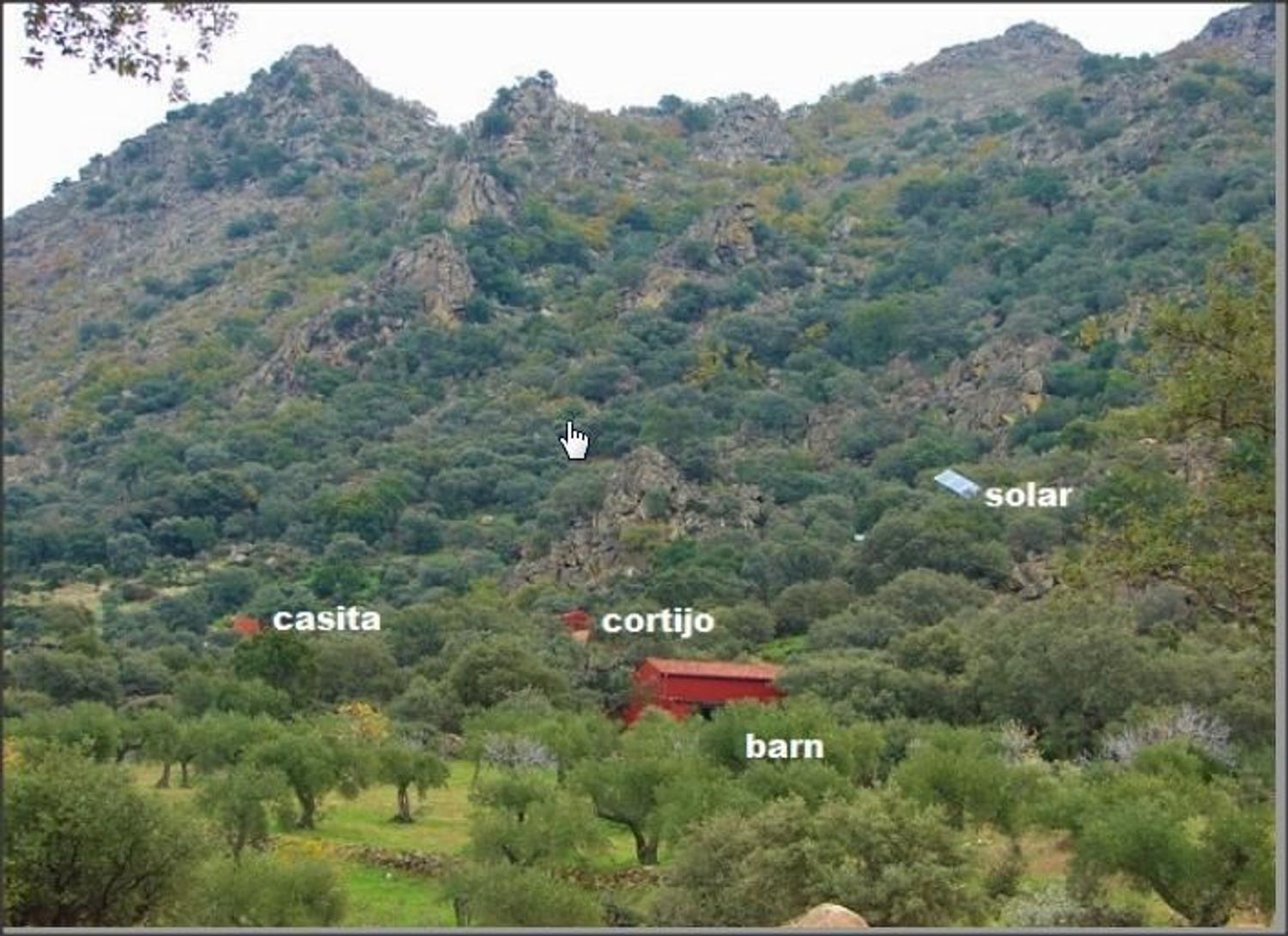 Cortijo en Cortijo en Carretera Albalá del Caudillo s/n - Foto 9