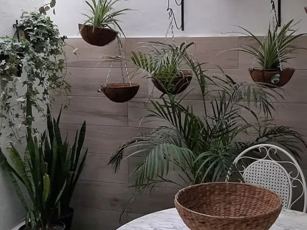 Estudio en José grollo, 108, Benicalap - Foto 6