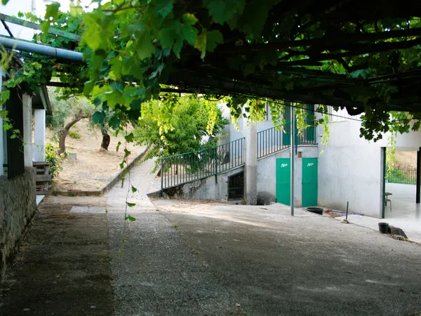 Finca rústica en Carretera a El Raso, 1 - Foto 11