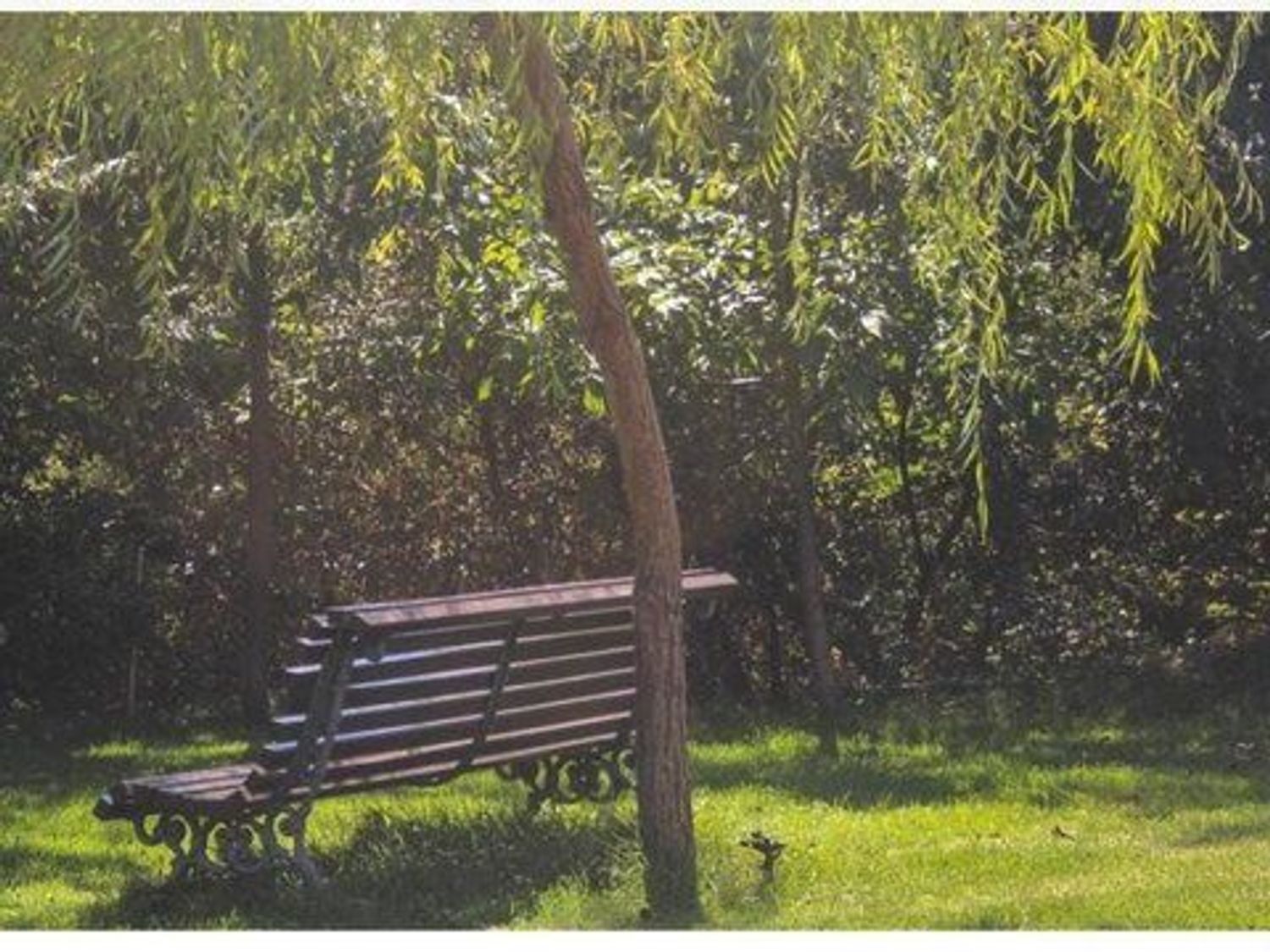 Piso en Paseo Maritimo, 14 - Foto 12