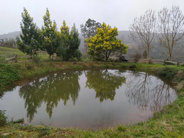 Casa rural en Gilfonxe, 6 - Foto 18
