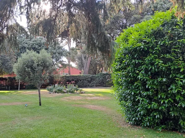Piso en Navalquejigo - Los Arroyos, Navalquejigo - Los Arroyos - Foto 4