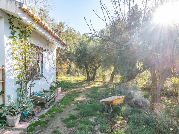 Cortijo en Solana s/n - Foto 17