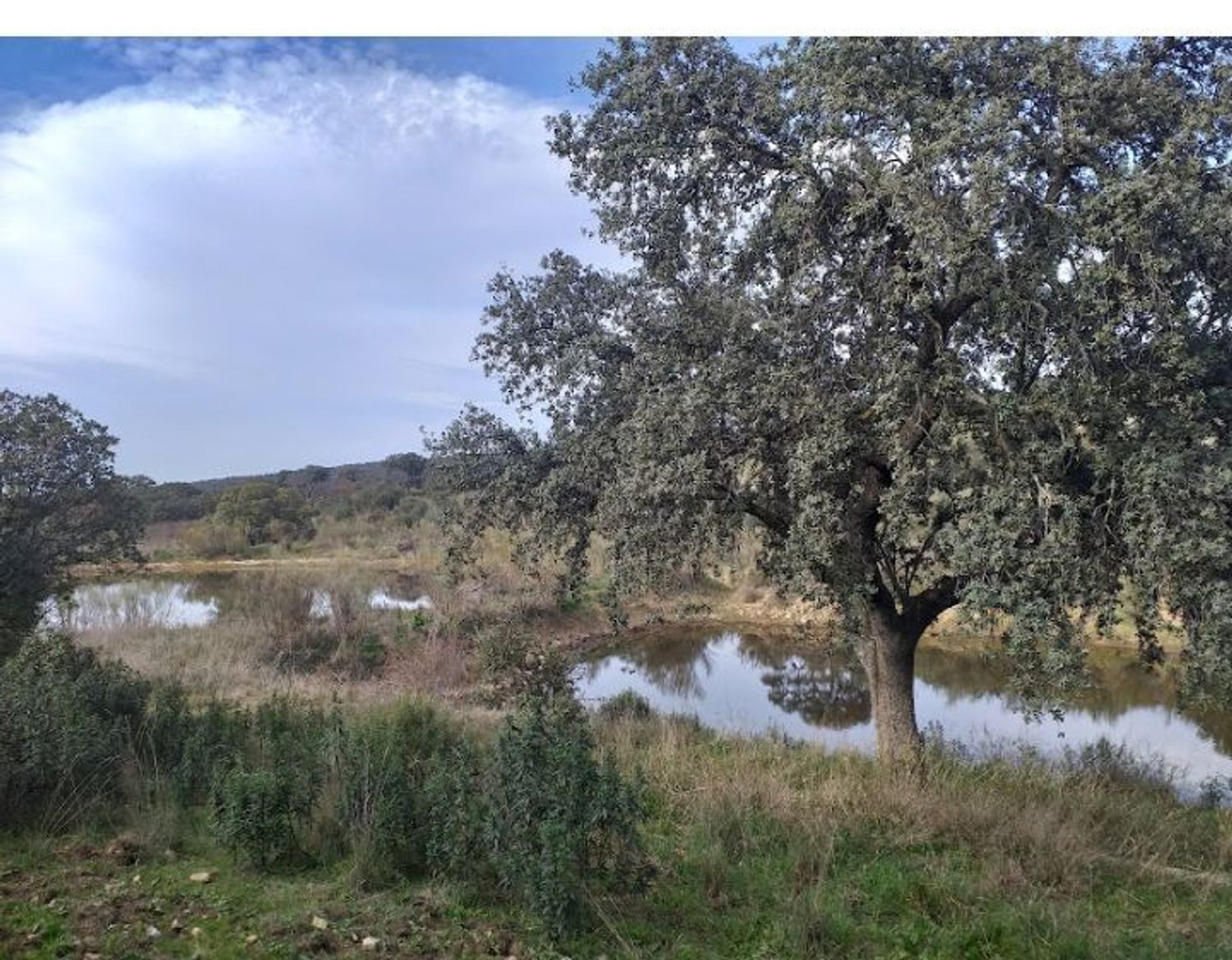 Finca rústica en Sierra de Mampar s/n - Foto 16
