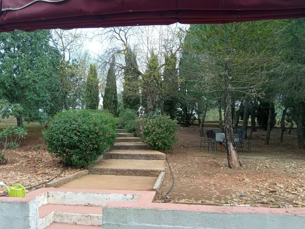 Finca rústica en Callejón del Antiguo Almacén (Prior), 1 - Foto 12