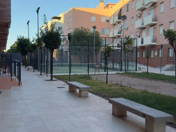 Ático en Calle Clarinete, 6, El Juncal - Vallealto - Foto 27