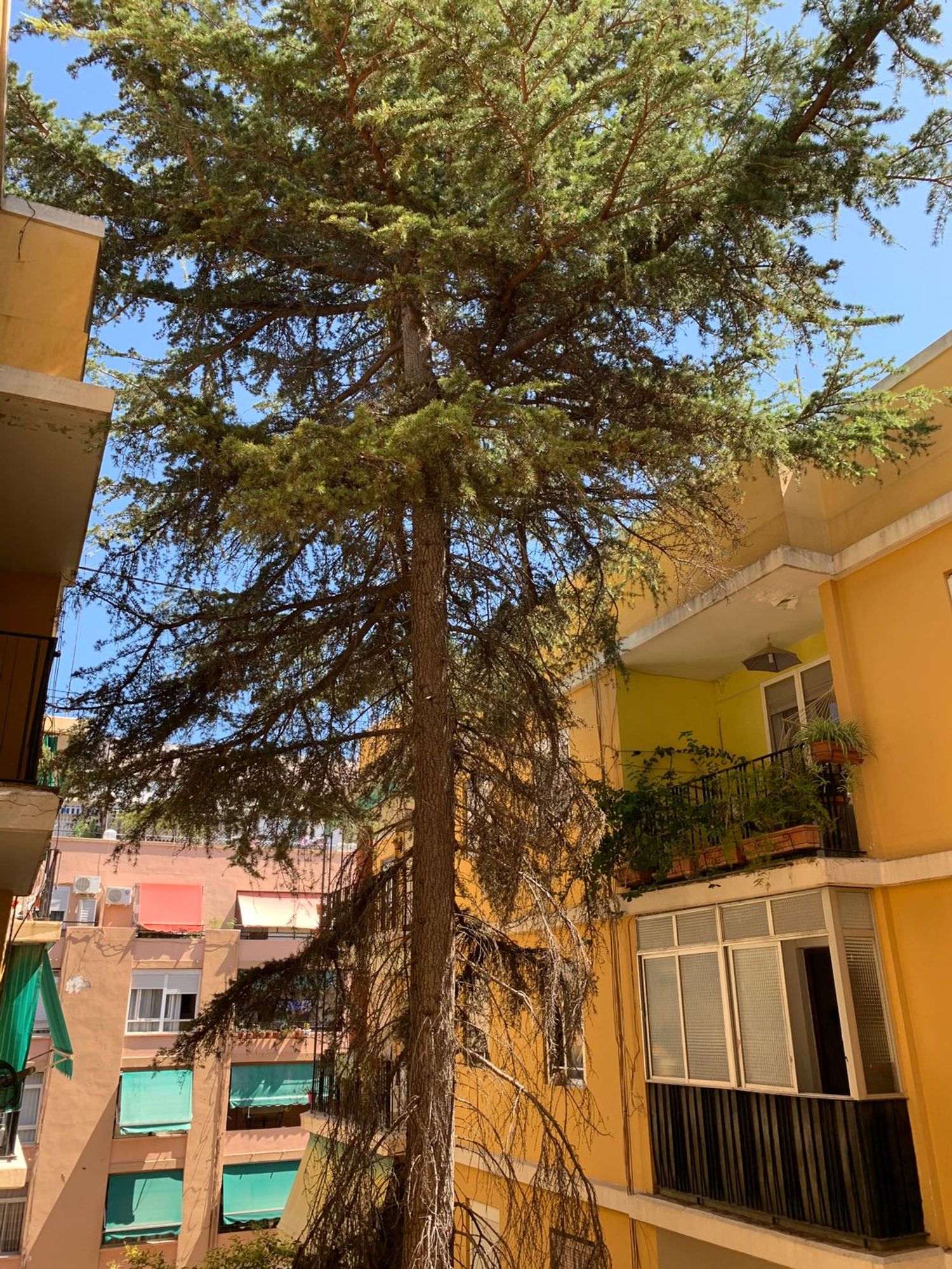 Piso en calle de Granada, 18 - Foto 12