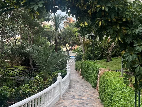 Estudio en Avenida de París, 14, Zona Sierra Helada - Foto 14
