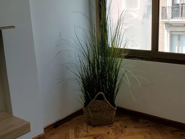 Estudio en calle de Don Juan de Austria, 4 - Foto 5