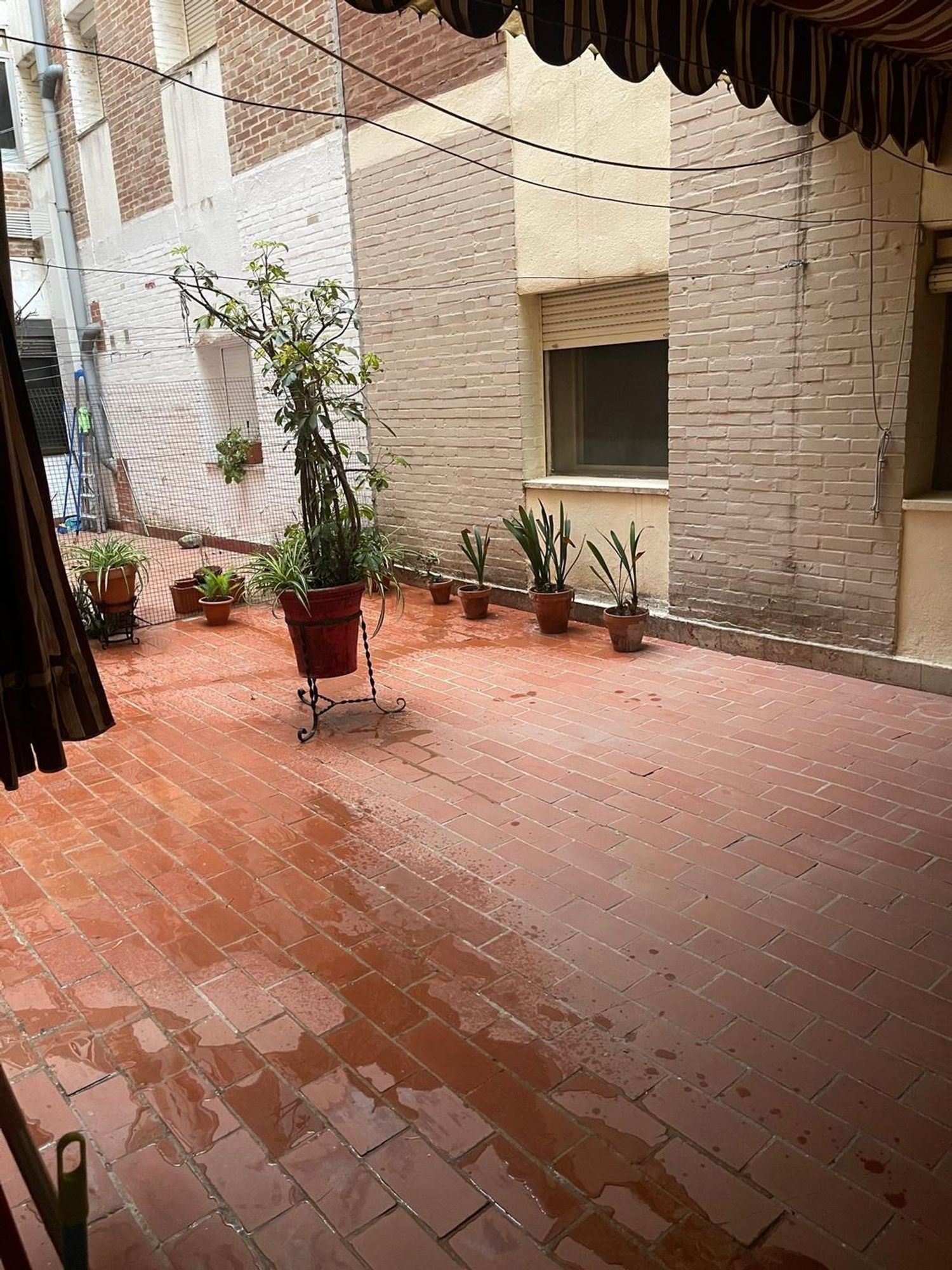 Piso en pintor Espinosa, 3 - Foto 21