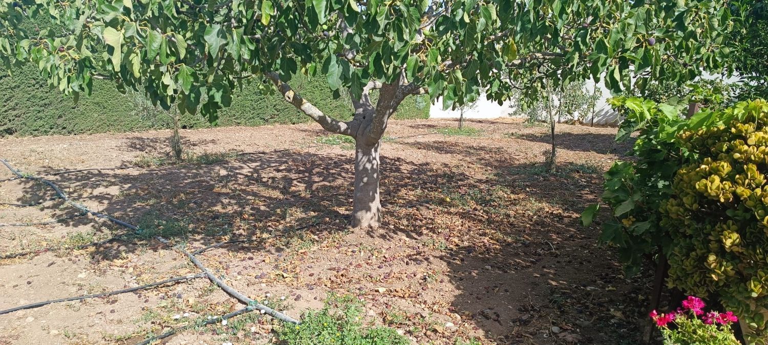 Casa rural en Cuesta Rabana, 17 - Foto 28