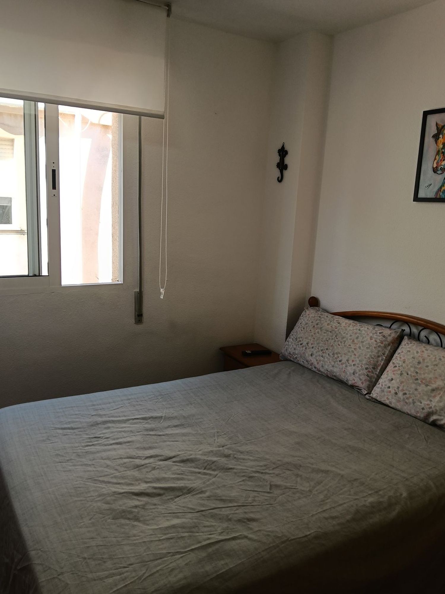 Chalet adosado en Calle Nicolás de Bussi, 44, Playa Flamenca - Foto 22