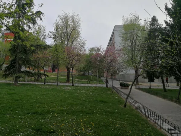 Piso en Avenida del Doctor García Tapia, 84, Marroquina - Foto 22