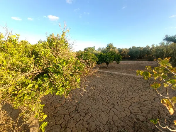 Casa rural en Partida Les penyetes polígono 9 parcela 150, 14, Centro, Centro - Foto 4