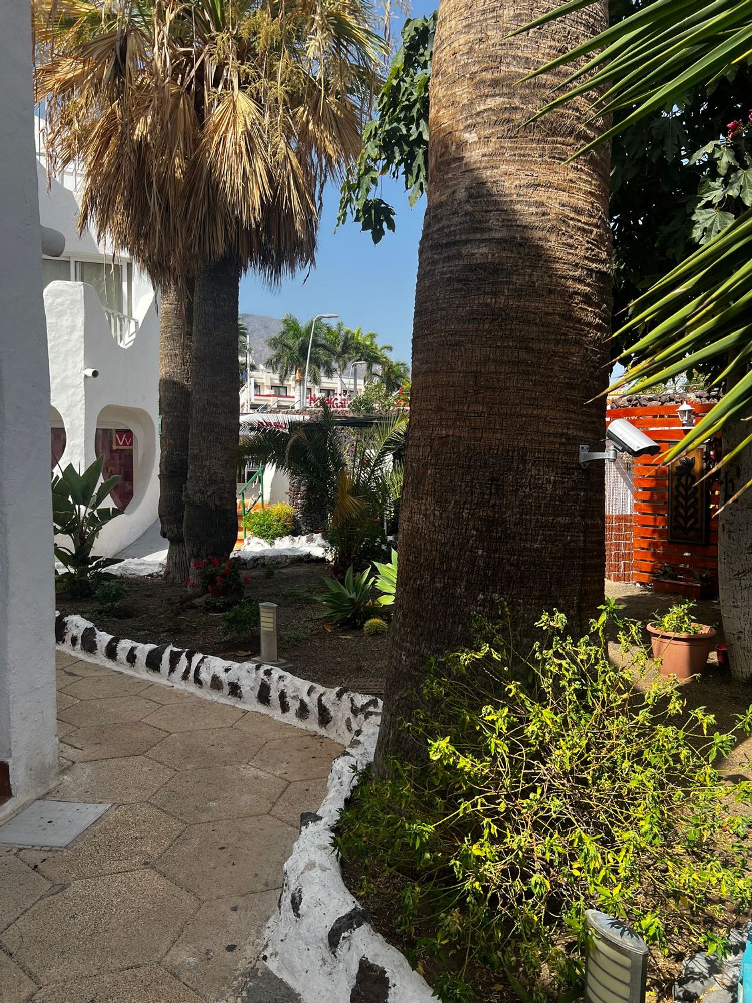 Dúplex en Avenida Arquitecto Gómez Cuesta, 3, Playa de las Américas, Playa de las Américas - Foto 4