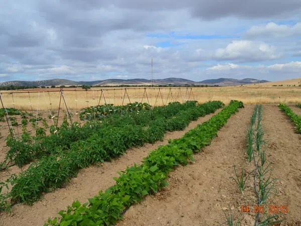 Masía en Masía en Camino de Viso del Marqués s/n - Foto 2