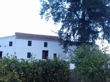 Finca rústica en  Camino de Gibralgalia 1 - Foto 1
