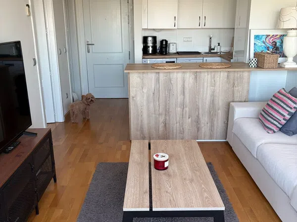 Piso en Calle Bausá, 15, Costillares - Foto 27