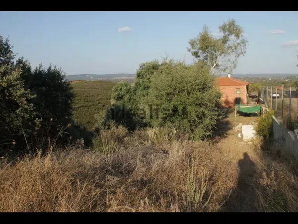 Finca rústica en Avenida Siete Colinas, 28 - Foto 13
