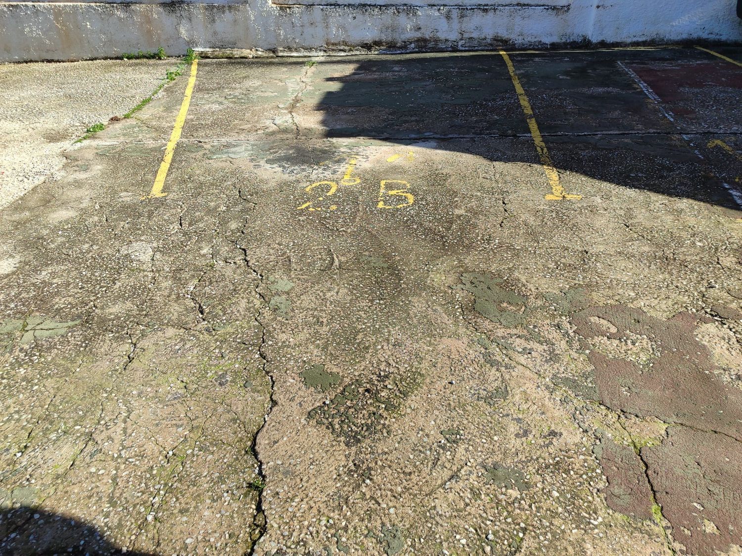 Ático en Barrio Cortijo Bazán - Los Casinis - Los Cipreses - Foto 37