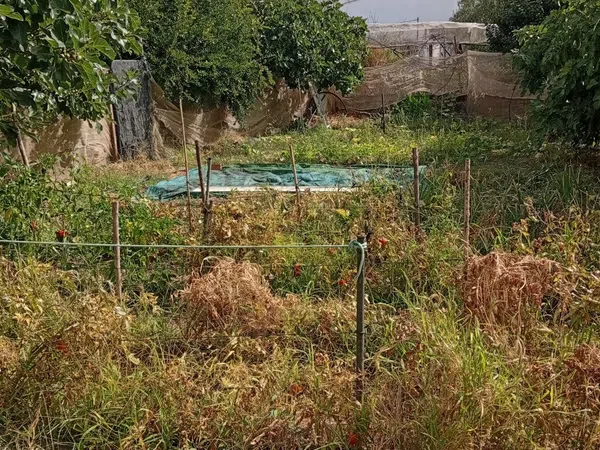 Finca rústica en Calle Galdames, 108, Ayamonte Pueblo, Ayamonte Pueblo - Foto 8