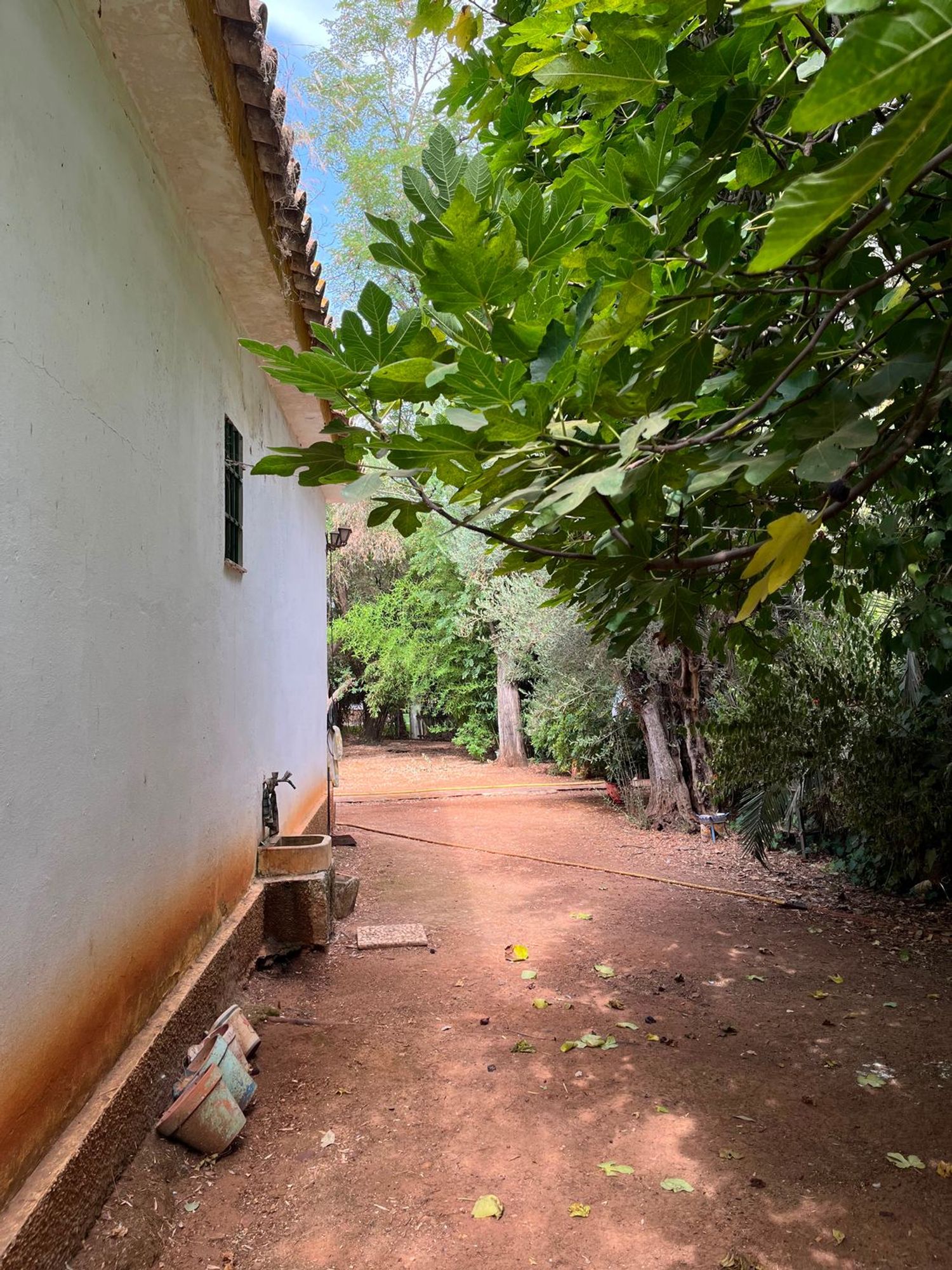Casa o chalet independiente en Urbanizacion Atalaya s/n - Foto 16