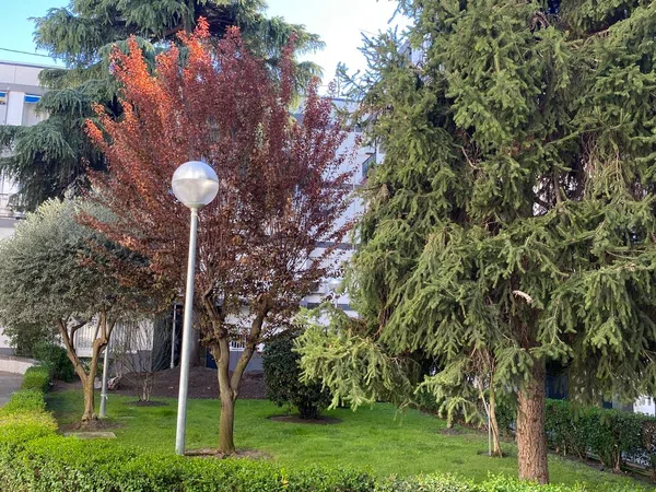 Estudio en calle Tahona, 7 - Foto 1