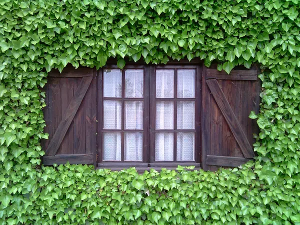 Chalet pareado en Barrio de Movera, 182 - Foto 1