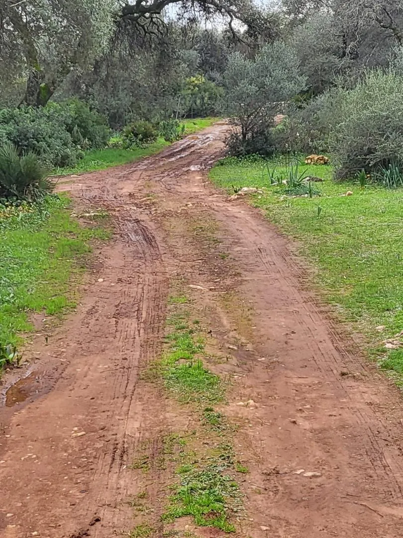 Finca rústica en  Calle Héctor Villa-Lobos 5 - Foto 10