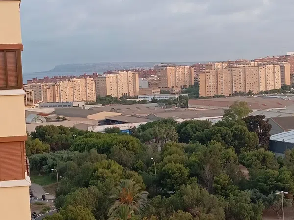 Piso en Avenida de Alcalde Lorenzo Carbonell, 55, Babel - Foto 6
