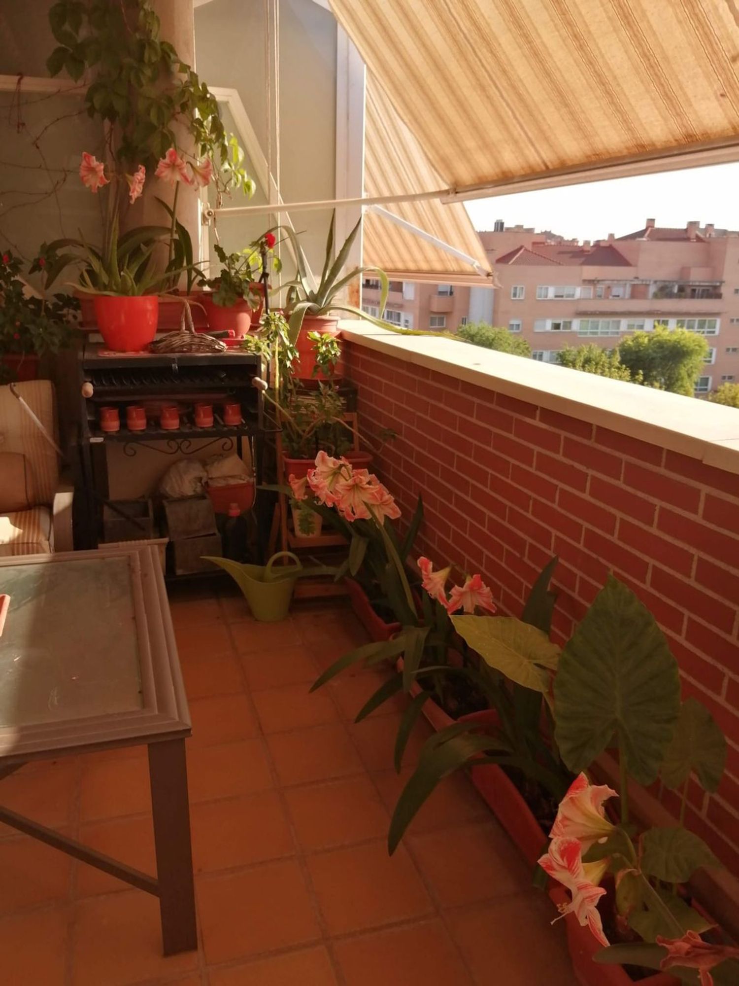 Ático en avenida del Doctor García Tapia, 226 - Foto 2