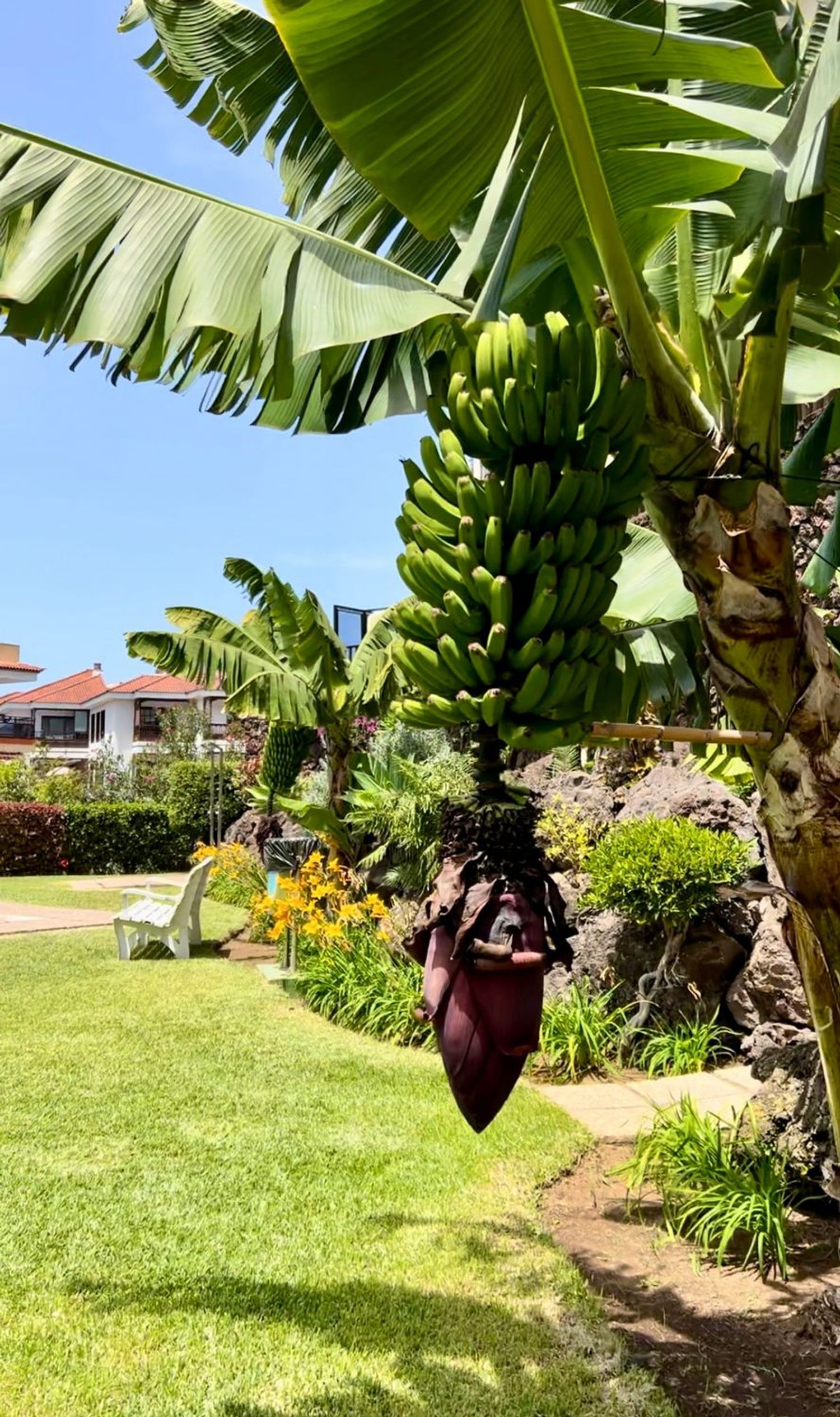 Piso en calle Luis Rodríguez Figueroa, 2 - Foto 11