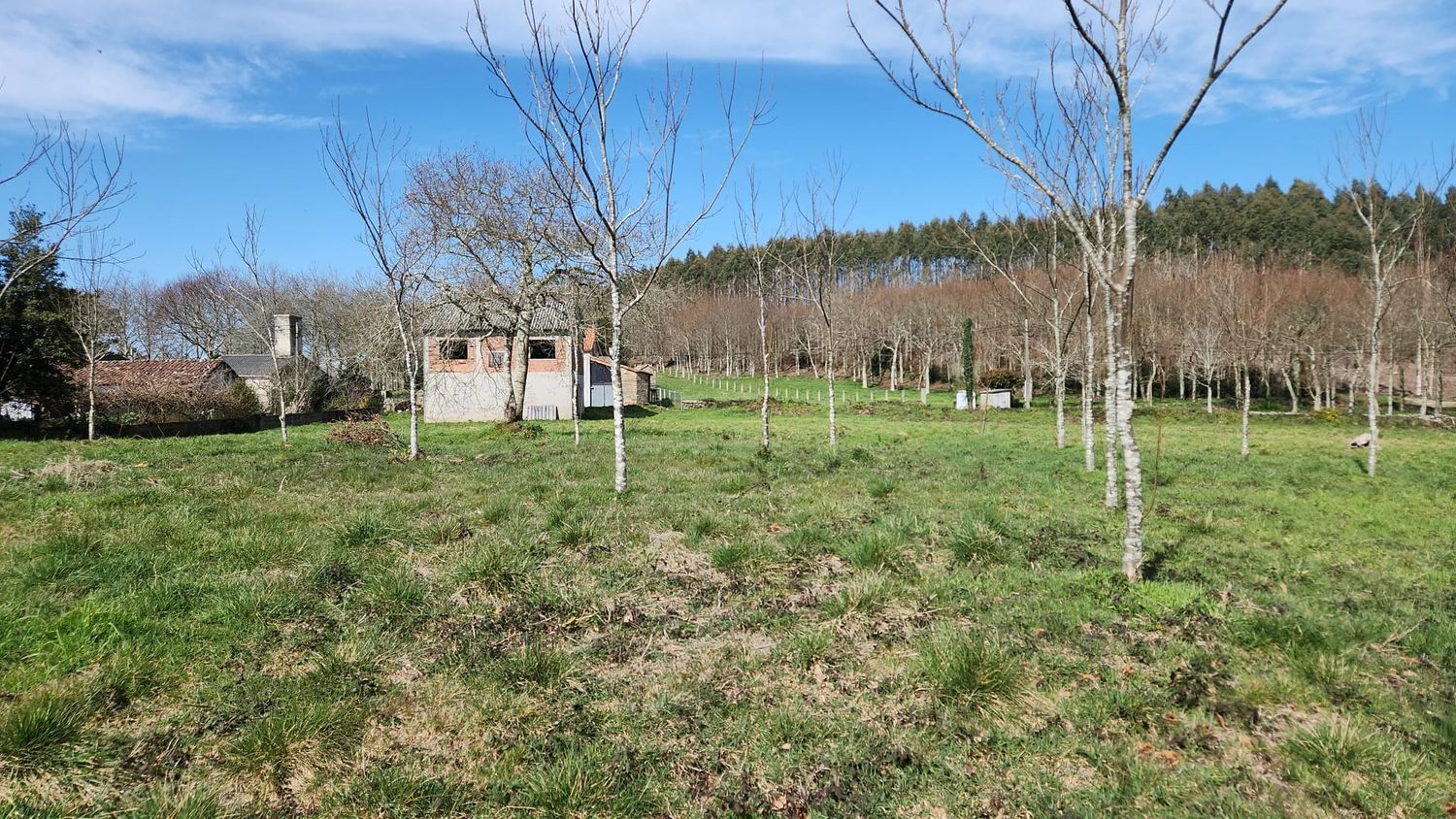 Finca rústica en Piolla s/n - Foto 5