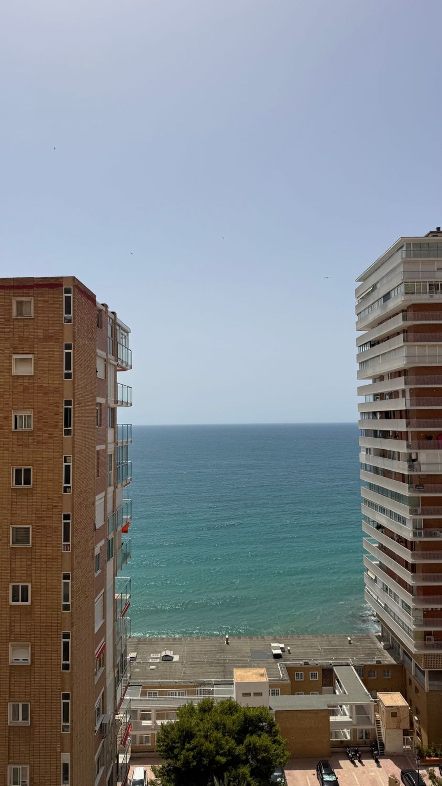 Piso en Avenida de Villajoyosa, 97, Vistahermosa - Foto 12
