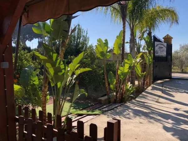 Casa rural en Paradas s/n - Foto 16