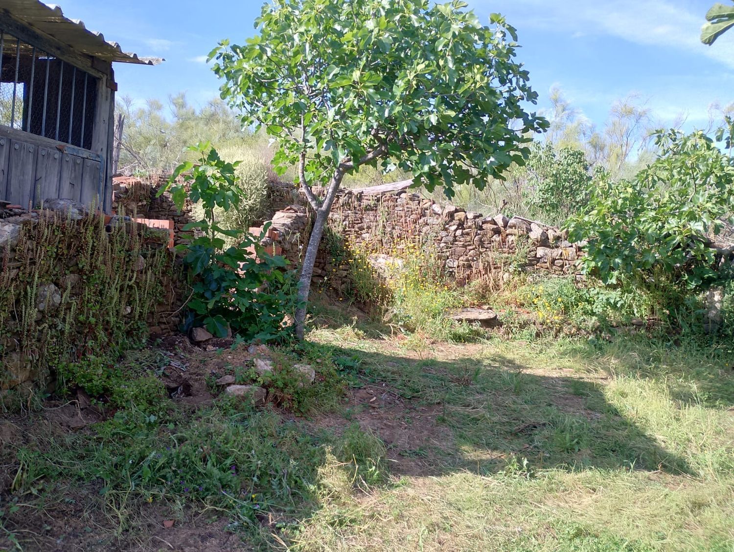 Casa o chalet independiente en Polígono 49 Parcela 3 (Montrinche), 49 PolgonoParcela - Foto 5