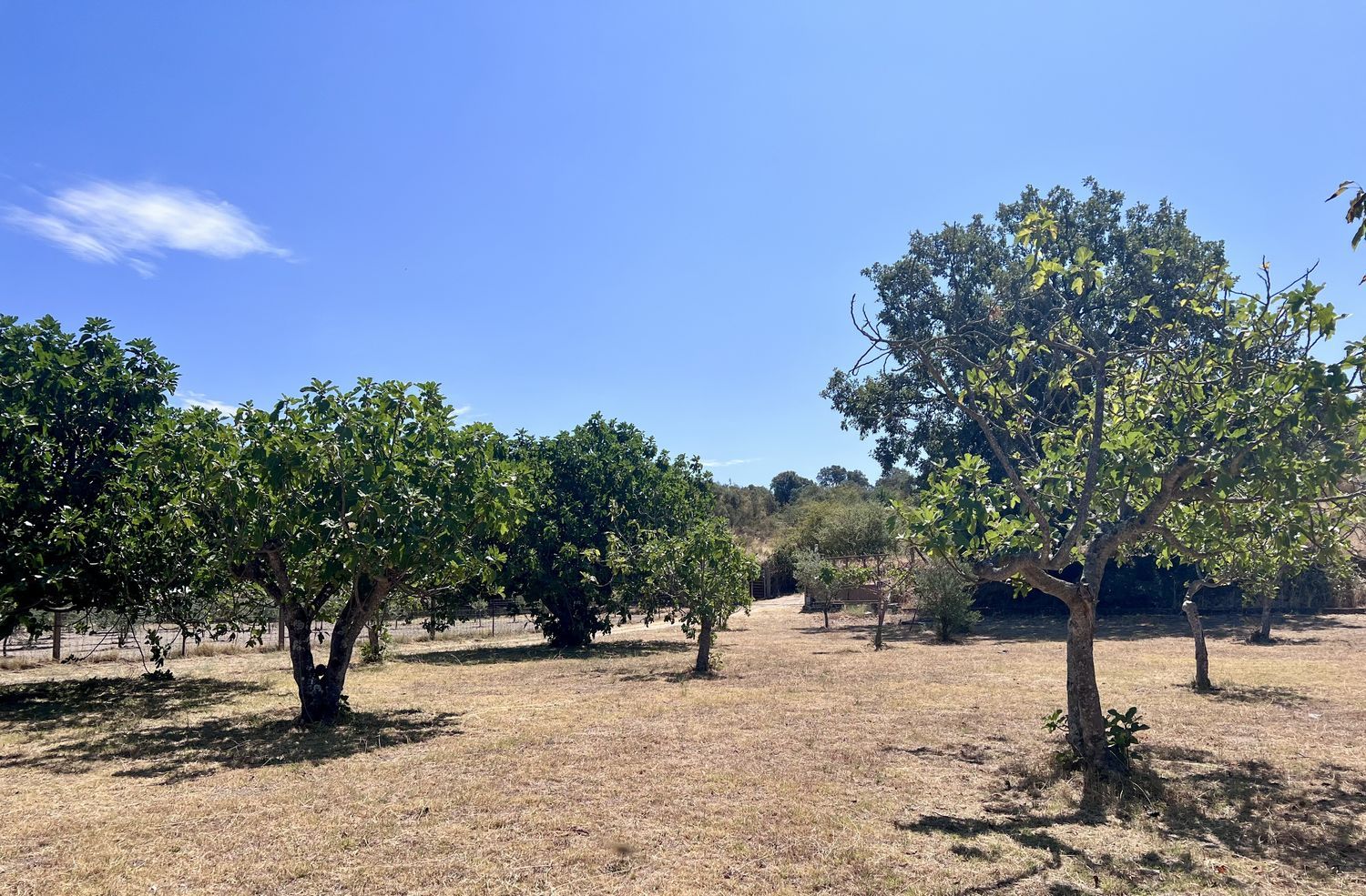 Casa rural en Arenas de San Pedro - Foto 3