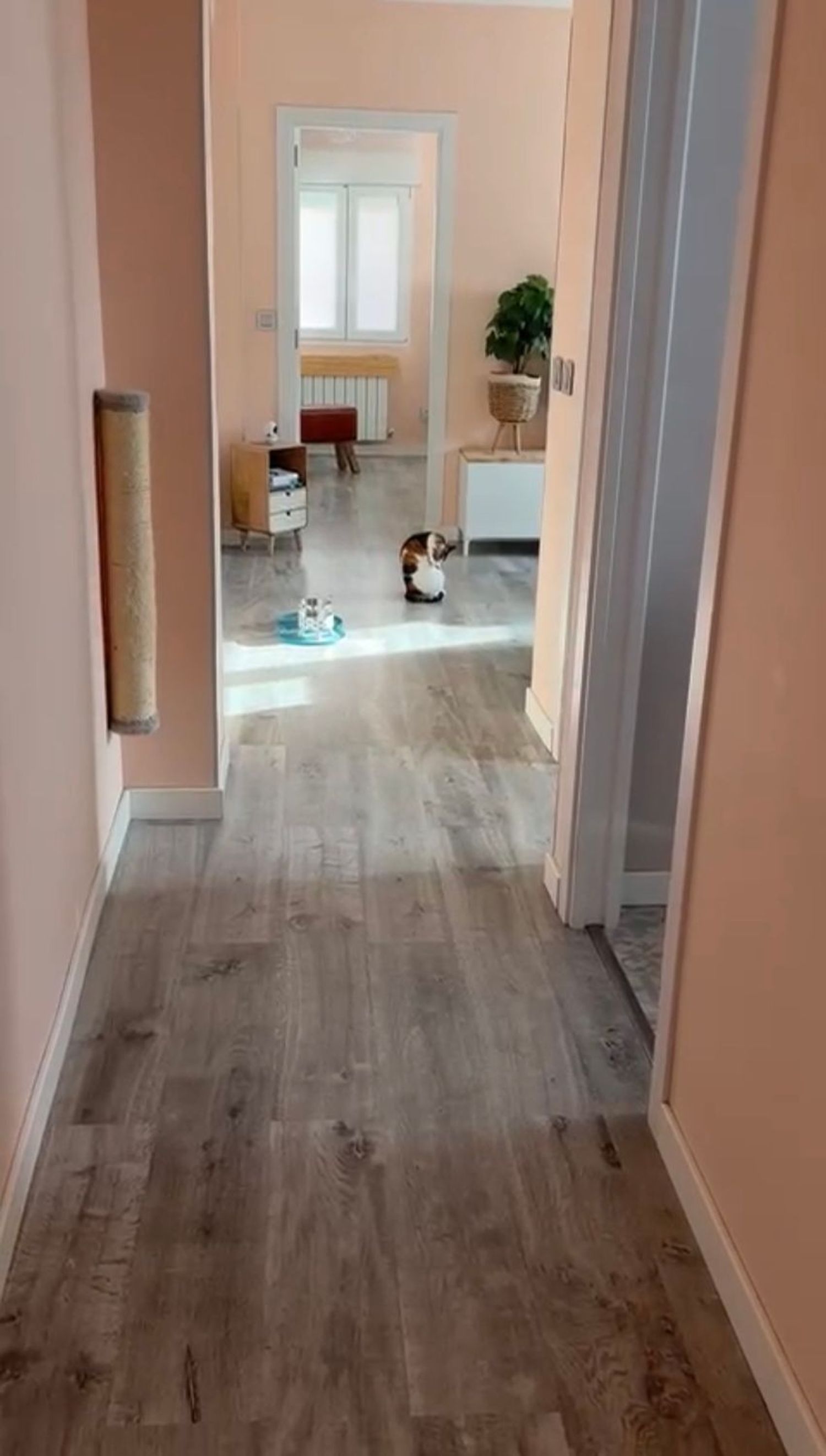 Piso en avenida de Canillejas a Vicálvaro, 65 - Foto 3