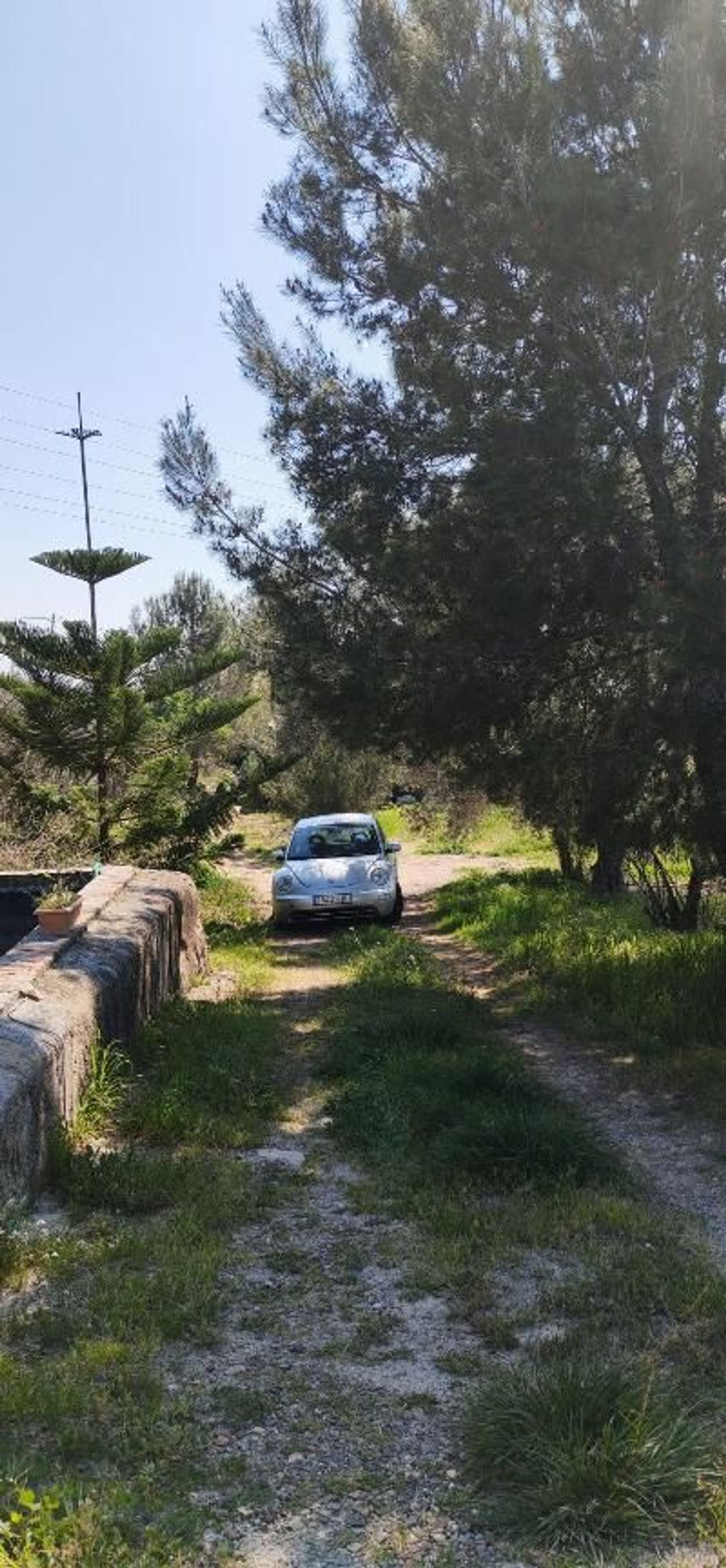 Masía en Calle de la Sardana s/n - Foto 3