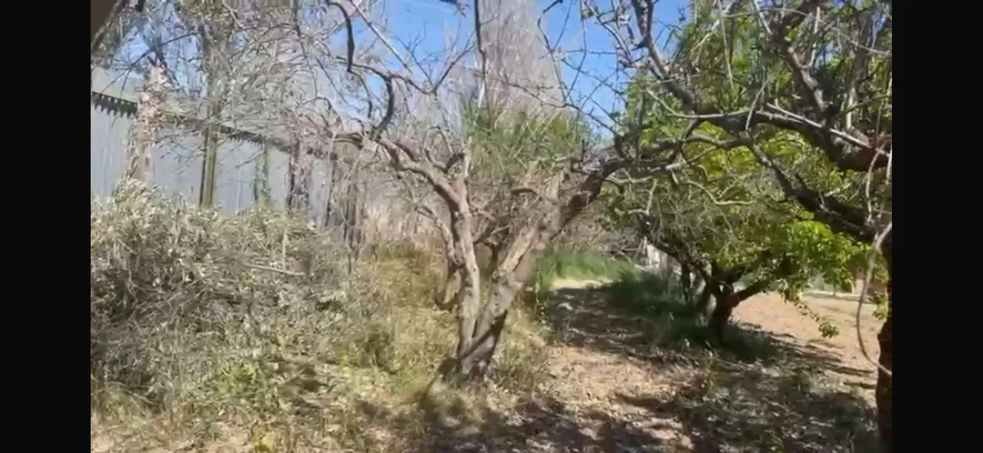 Finca rústica en  Calle de Alfocea 20 - Foto 4