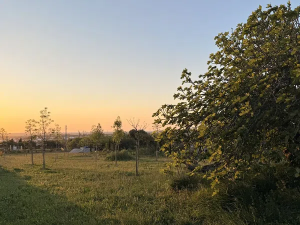 Finca rústica en Ca-4201 s/n, Barrio Nuevo, Barrio Nuevo - Foto 1