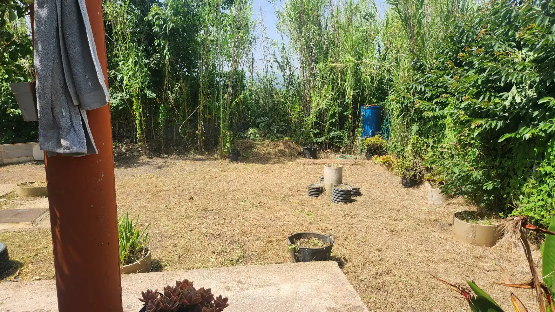 Finca rústica en - Foto 12