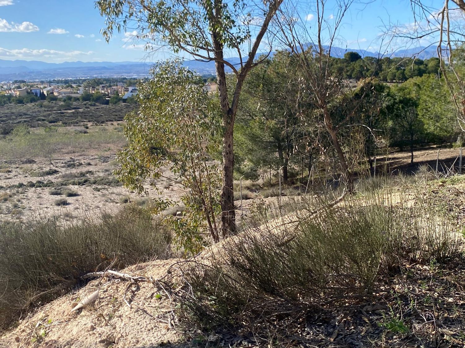 Casa independiente en camino de José Antonio Arnaldos s/n - Foto 27