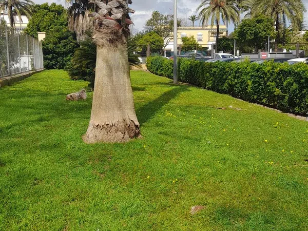 Piso en plaza del Caballo, 1 - Foto 33