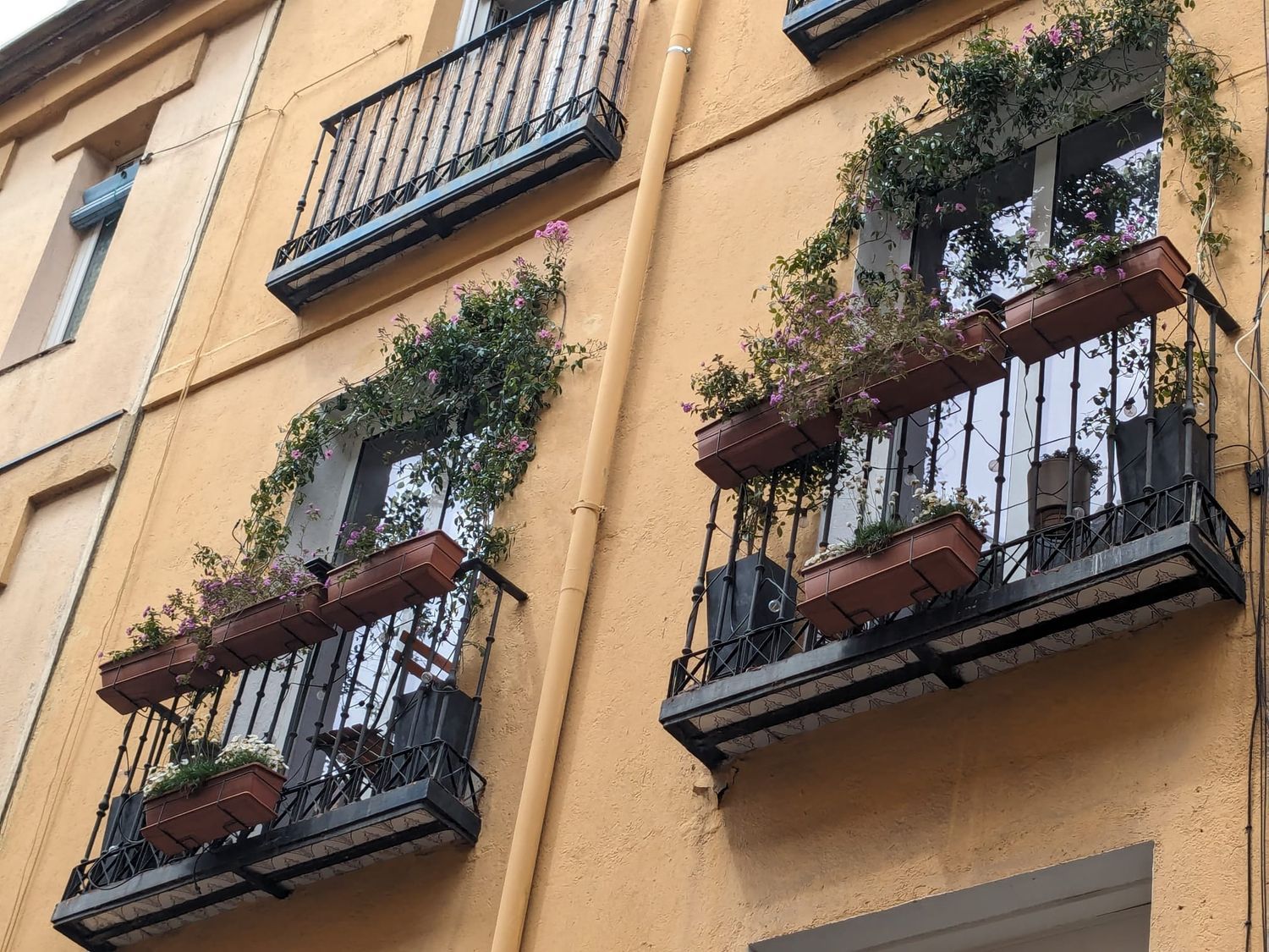 Piso en Calle de la Fe, 17, Lavapiés-Embajadores - Foto 29