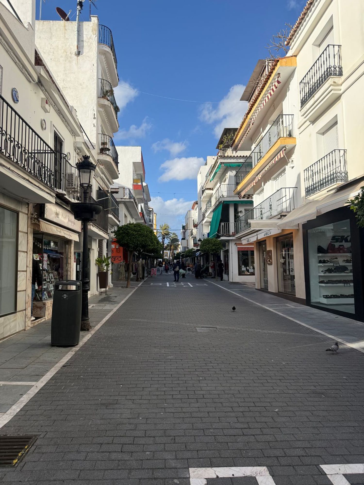 Local en Avenida Marqués del Duero, 36, San Pedro Pueblo - Foto 7