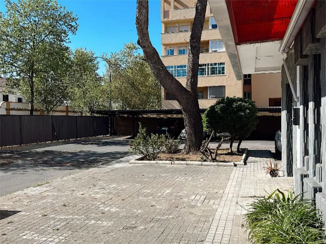 Piso en  Calle Gustavo Gallardo 1 - Foto 41