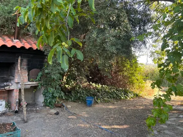 Finca rústica en Polígono 1, 3 - Foto 9